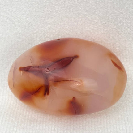 Vibrant Agate Carnelian Orange Crystal - My Shop of Wonders