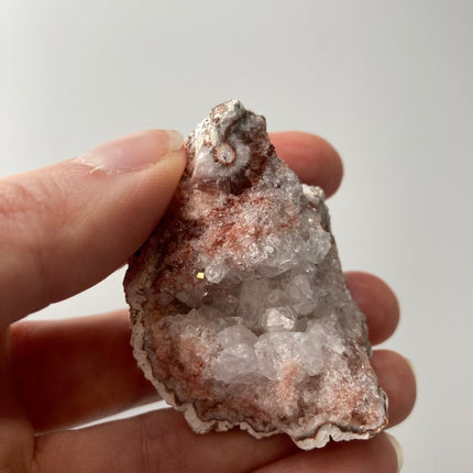 White Amethyst Raw Geode: Pure Elegance - My Shop of Wonders
